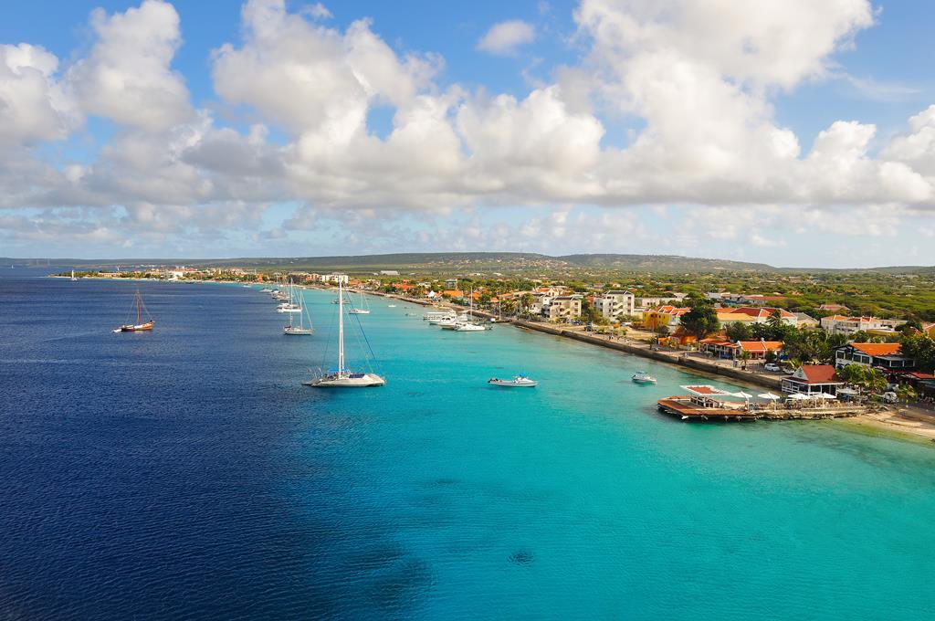 11-daagse cruise Aruba › Bonaire › Curacao › Dominicaanse Republiek › Jamaica › Kaaiman Eilanden › Verenigde Staten met onbekend cruiseschip – afbeelding 1
