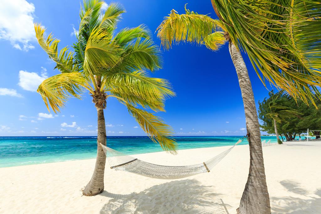 11-daagse cruise Aruba › Curacao › Dominicaanse Republiek › Verenigde Staten met onbekend cruiseschip – afbeelding 3