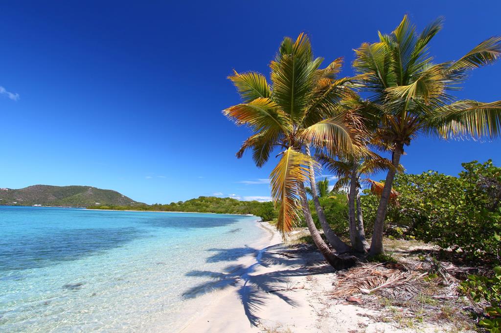 12-daagse cruise Amerikaanse Maagdeneilanden › Bahamas › Britse Maagdeneilanden › Dominicaanse Republiek › Verenigde Staten met Norwegian Aqua En Ontdek De Parels Van De Caribische Zee. Het Schip Vaart Als Eerst Richting Puerto Plata – afbeelding 5