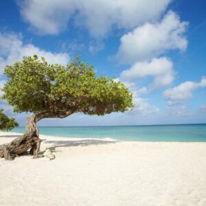 13-daagse cruise Aruba › Bahamas › Curacao › Dominicaanse Republiek › Jamaica › Kaaiman Eilanden › Verenigde Staten met Norwegian Jewel. Vanuit Het Zonnige Miami Begin Je Aan Een Cruise Vol Tropische Bestemmingen – afbeelding 1