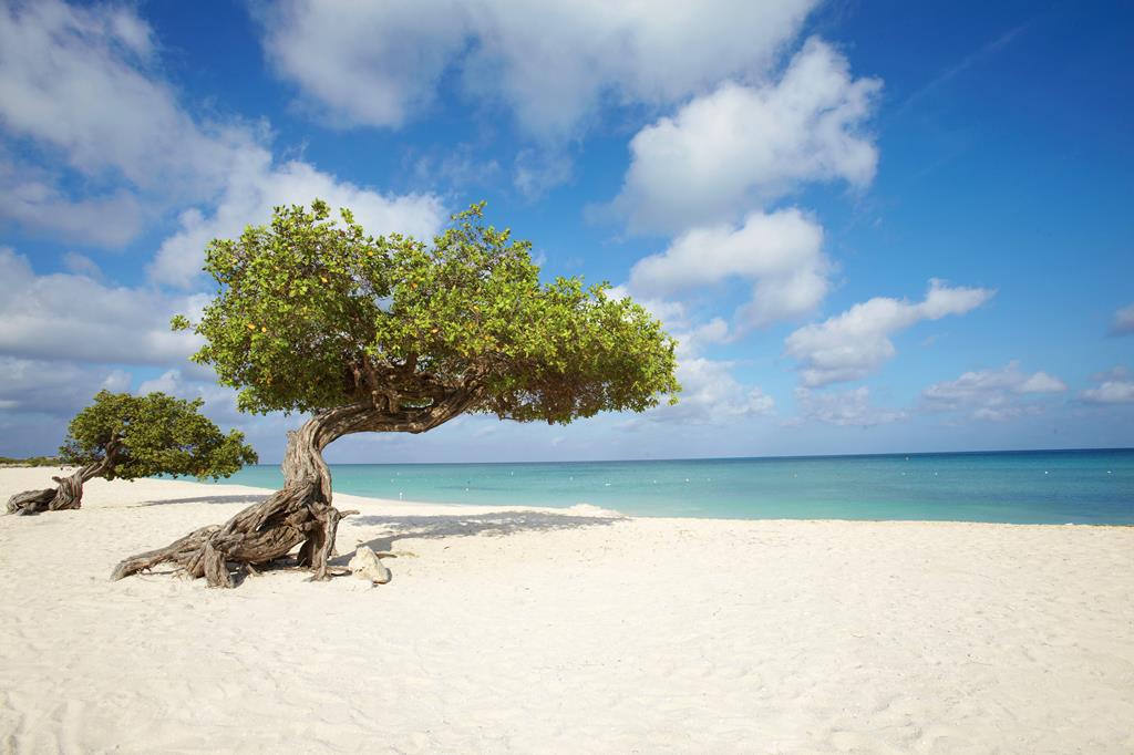 13-daagse cruise Aruba › Bahamas › Curacao › Dominicaanse Republiek › Jamaica › Kaaiman Eilanden › Verenigde Staten met Norwegian Jewel. Vanuit Het Zonnige Miami Begin Je Aan Een Cruise Vol Tropische Bestemmingen – afbeelding 1