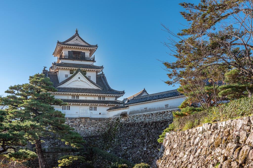 18-daagse cruise Japan › Zuid Korea met onbekend cruiseschip – afbeelding 3
