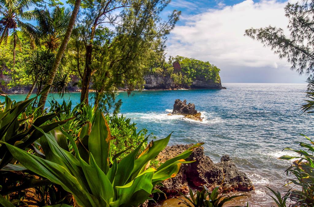 19-daagse cruise Mexico › Verenigde Staten met onbekend cruiseschip – afbeelding 1