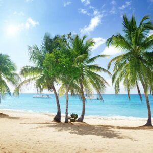 8-daagse cruise Antigua En Barbuda › Britse Maagdeneilanden › Dominicaanse Republiek › Martinique › St Maarten met Msc Opera Vertrek Je Vanuit La Romana In De Dominicaanse Republiek Voor Een Onvergetelijke Caribische Cruise Vol Zon – afbeelding 1