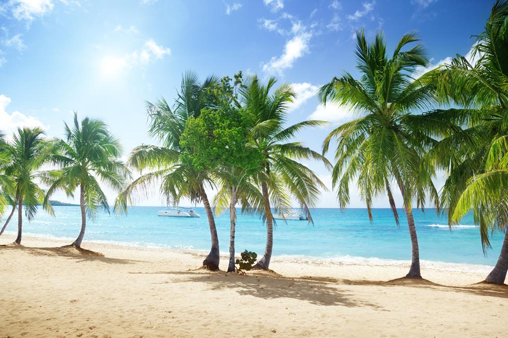 8-daagse cruise Antigua En Barbuda › Britse Maagdeneilanden › Dominicaanse Republiek › Martinique › St Maarten met Msc Opera Vertrek Je Vanuit La Romana In De Dominicaanse Republiek Voor Een Onvergetelijke Caribische Cruise Vol Zon – afbeelding 1