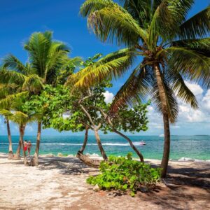 8-daagse cruise Bahamas › Dominicaanse Republiek › Turks En Caicos Eilanden › Verenigde Staten met Zuiderdam – afbeelding 1