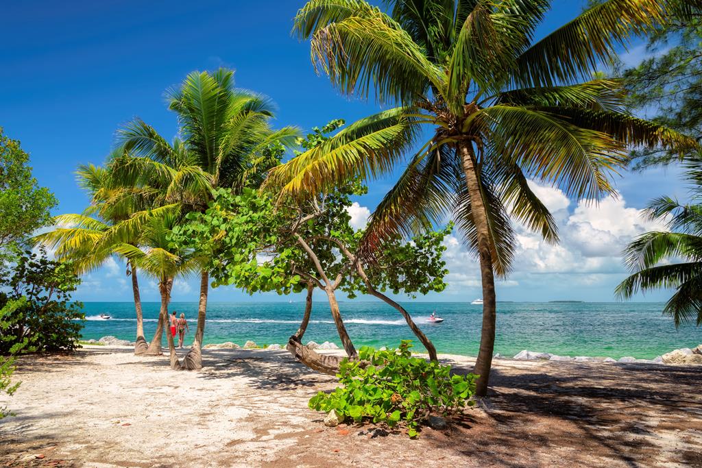 8-daagse cruise Bahamas › Dominicaanse Republiek › Turks En Caicos Eilanden › Verenigde Staten met Zuiderdam – afbeelding 1