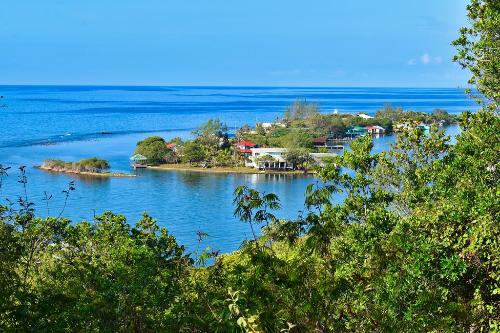 8-daagse cruise Bahamas › Honduras › Mexico › Verenigde Staten met Msc Seashore – afbeelding 5