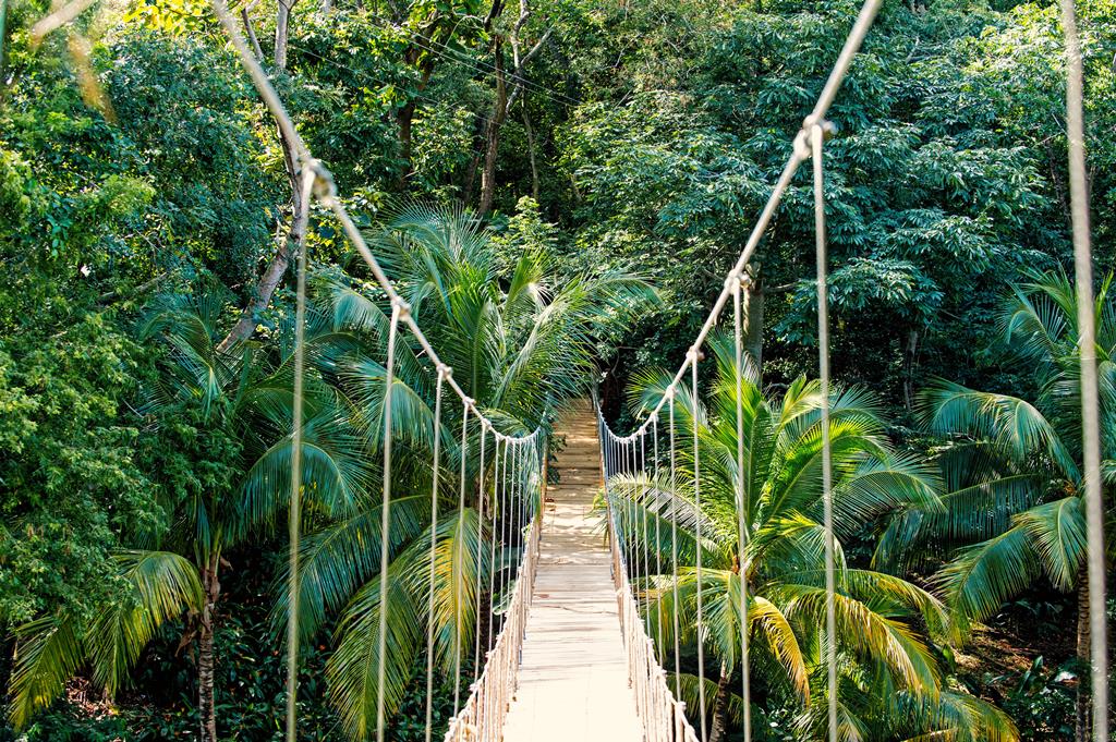 8-daagse cruise Bahamas › Honduras › Mexico › Verenigde Staten met Msc World America Vanuit Miami. Tijdens Deze Reis Combineer Je Luxe – afbeelding 5