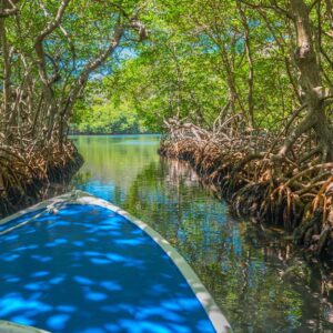8-daagse cruise Bahamas › Honduras › Mexico › Verenigde Staten met onbekend cruiseschip – afbeelding 1