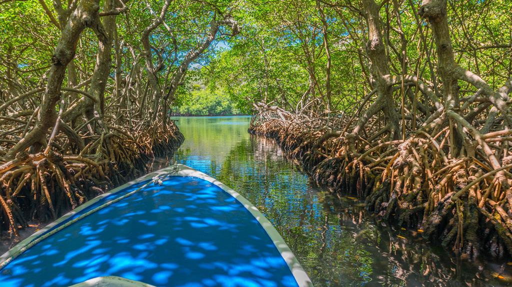 8-daagse cruise Bahamas › Honduras › Mexico › Verenigde Staten met onbekend cruiseschip – afbeelding 1