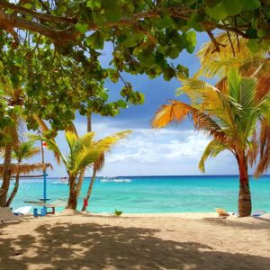 8-daagse cruise Barbados › Britse Maagdeneilanden › Dominicaanse Republiek › Guadeloupe › Martinique met Msc Opera. Tropische Eilanden – afbeelding 1
