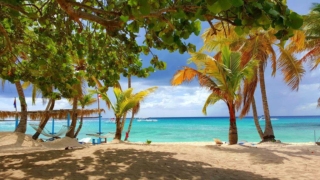 8-daagse cruise Barbados › Britse Maagdeneilanden › Dominicaanse Republiek › Guadeloupe › Martinique met Msc Opera. Tropische Eilanden – afbeelding 1