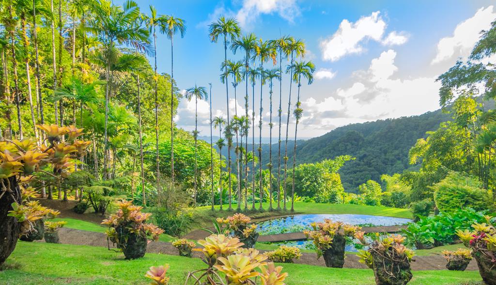 8-daagse cruise Barbados › Britse Maagdeneilanden › Dominicaanse Republiek › Guadeloupe › Martinique met Msc Opera. Tropische Eilanden – afbeelding 5