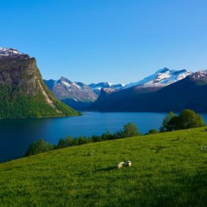 8-daagse cruise Noord Europa met onbekend cruiseschip – afbeelding 1